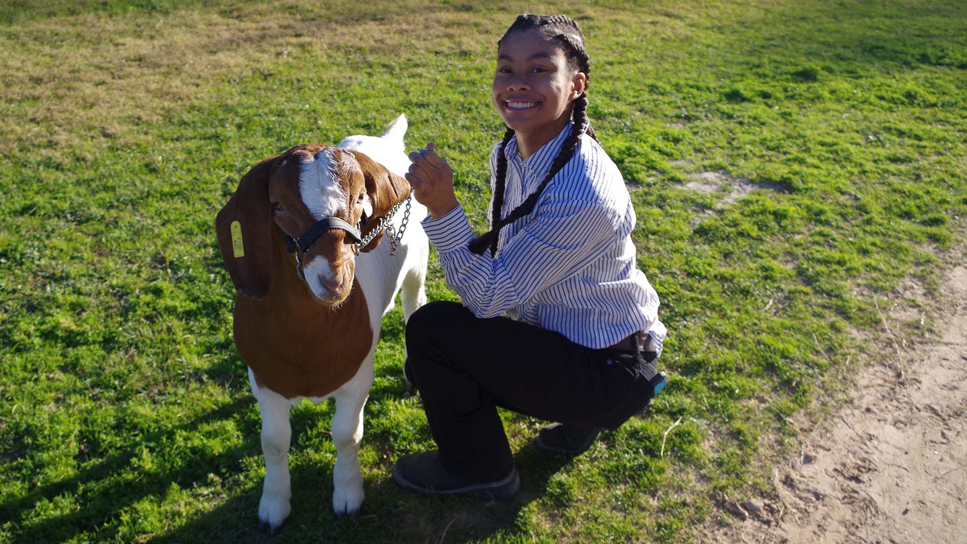 FFA Animal Project 2018-2019